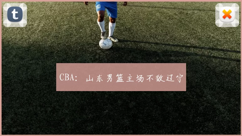 CBA：山东男篮主场不敌辽宁