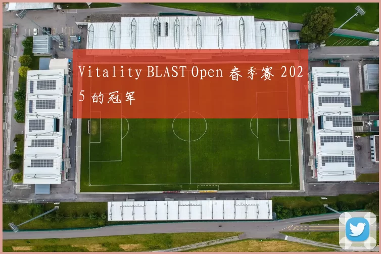 Vitality BLAST Open 春季赛 2025 的冠军