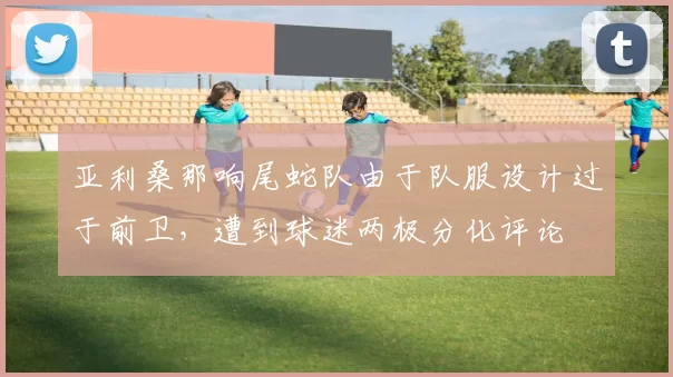 亚利桑那响尾蛇队由于队服设计过于前卫，遭到球迷两极分化评论