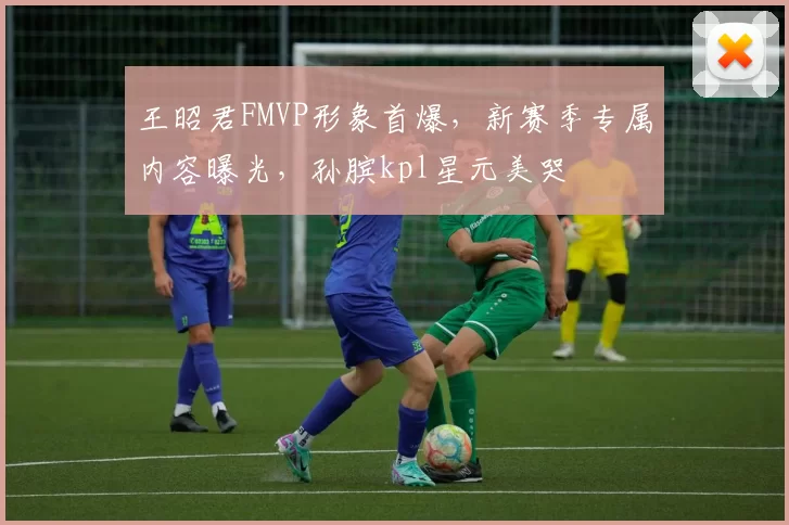 王昭君FMVP形象首爆，新赛季专属内容曝光，孙膑kpl星元美哭
