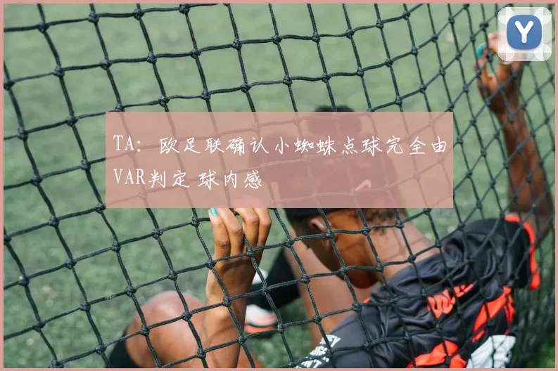 TA：欧足联确认小蜘蛛点球完全由VAR判定 球内感