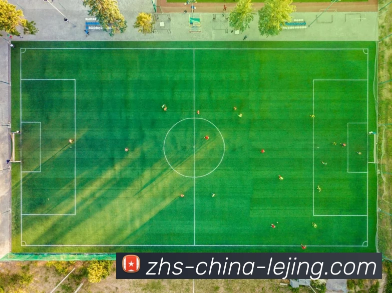 乐竟体育发展历程